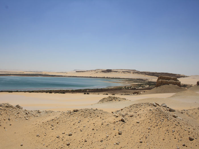 Fayoum Oasis